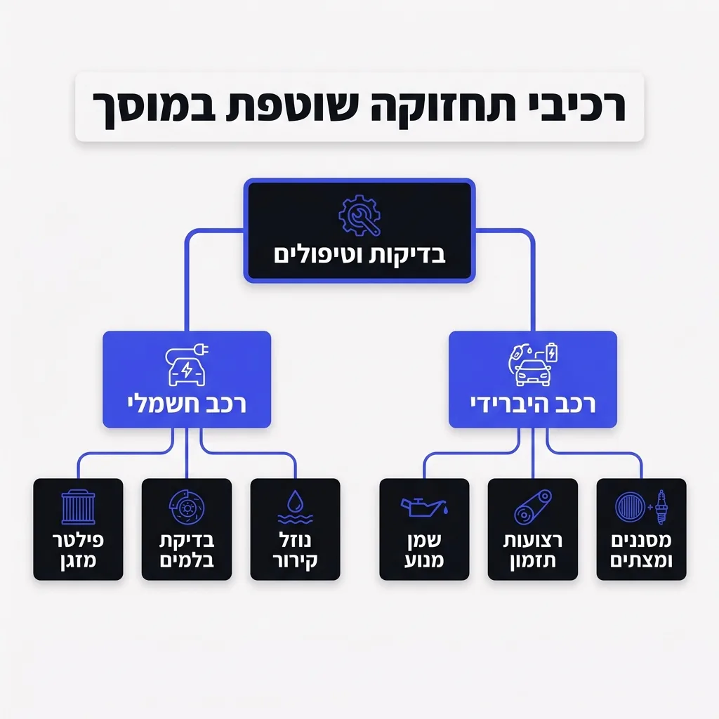 אינפוגרפיקה — רכיבי תחזוקה שוטפת במוסך: בדיקות וטיפולים